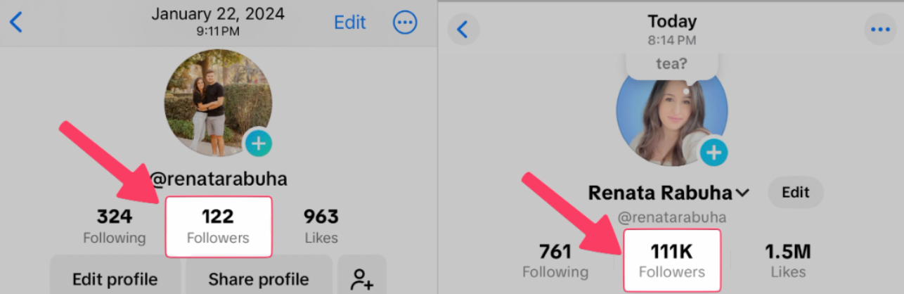 TikTok Followers Proof